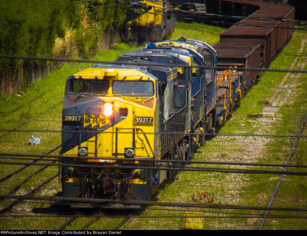MRSL 3931